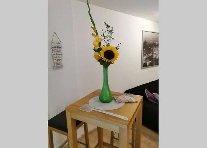 Schoene Ferien- Oder Monteurwohnung 